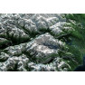 Anchorage & Alaska Range – 3D Earth Image Map