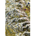 Denver Rocky Mtns 3D AeroChart