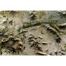 Phoenix - South Central Arizona – 3D Earth Image Map